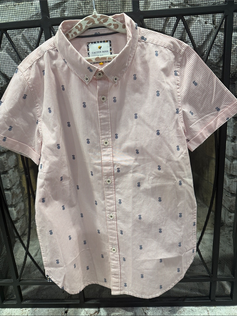 Cactus Pink Striped Short-Sleeve Button-Down Shirt